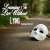 Learning to Live Without Lying: Study 05, Learning to Live Without